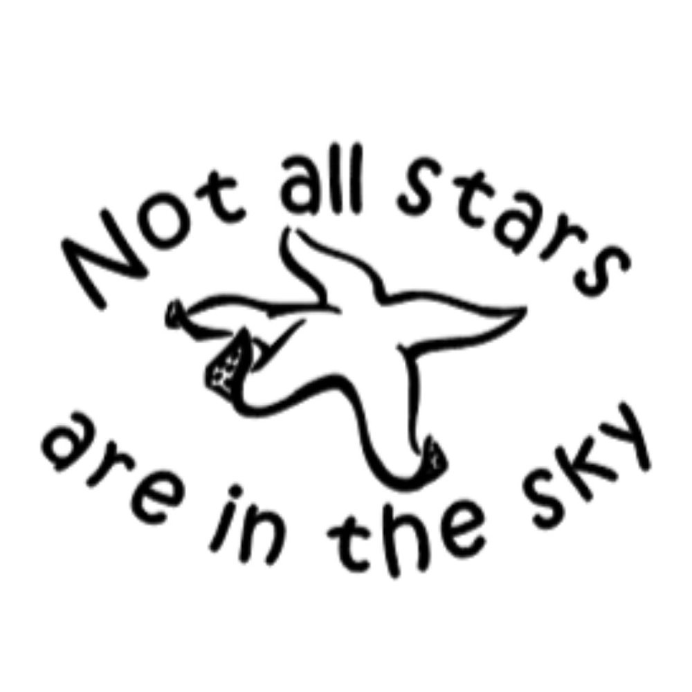 Not All Stars Decal